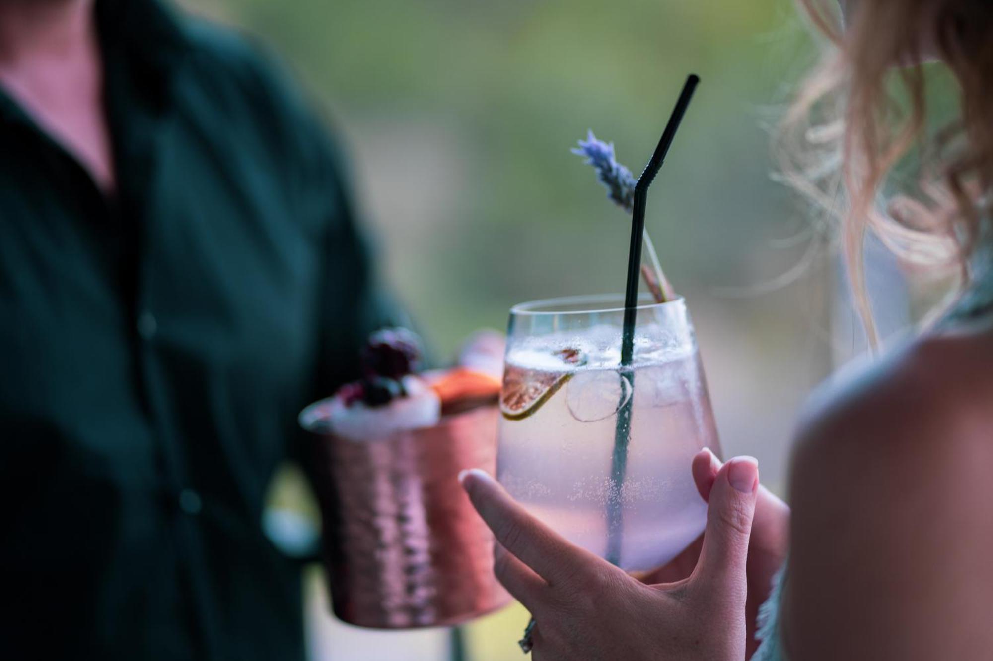 Monchique Resort & Spa Exterior photo A lavender cocktail